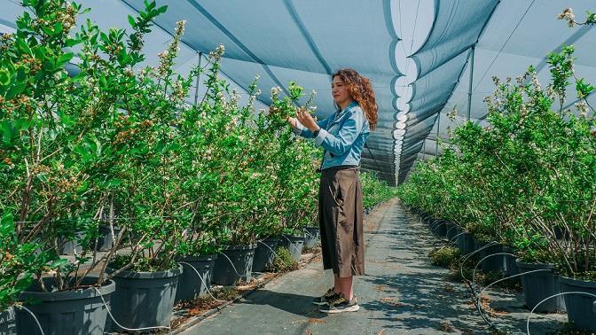 İş Bankası’nın İmeceMobil Platformu Microsoft’un EMEA Başarı Hikayeleri Arasında Yer Aldı