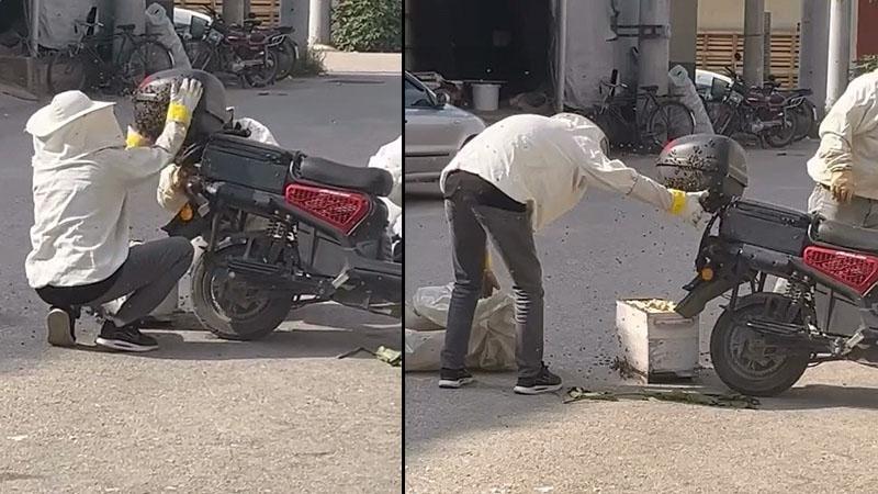 İnegöl’de Şaşırtan Görüntü! Kraliçe Arı Motosiklete Kondu, Sürü Bir Anda Orada Toplandı