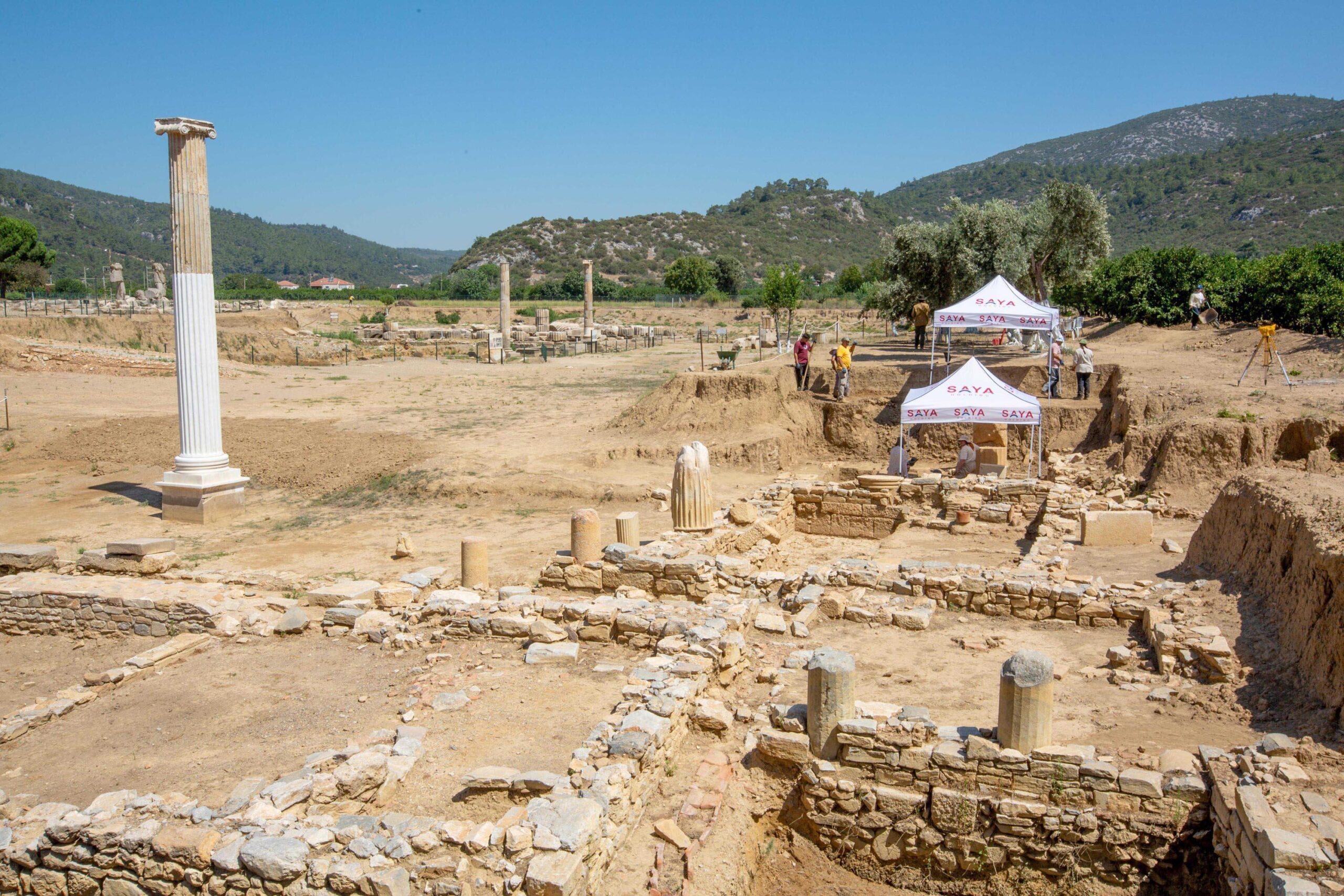 Klaros Kazılarında Yeni Dönem Çalışmaları Başladı
